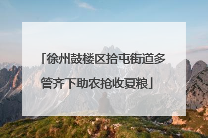徐州鼓楼区拾屯街道多管齐下助农抢收夏粮