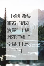 徐汇街头邂逅“初夏浪漫”！绣球花海成“全民打卡地”