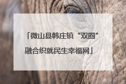 微山县韩庄镇“双圈”融合织就民生幸福网