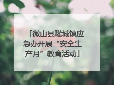 微山县驩城镇应急办开展“安全生产月”教育活动