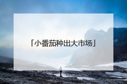 小番茄种出大市场