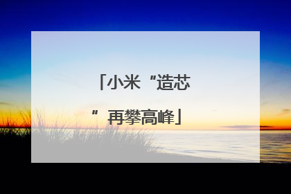 小米“造芯”再攀高峰