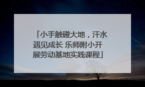小手触碰大地，汗水遇见成长 乐师附小开展劳动基地实践课程