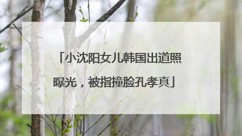 小沈阳女儿韩国出道照曝光，被指撞脸孔孝真