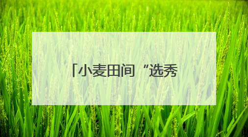 小麦田间“选秀”、蚕房变“流水线”……三夏收获正在进行