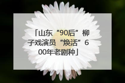 山东“90后”柳子戏演员“焕活”600年老剧种