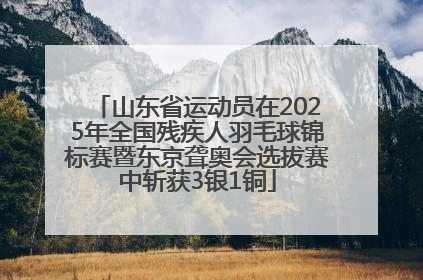 山东省运动员在2025年全国残疾人羽毛球锦标赛暨东京聋奥会选拔赛中斩获3银1铜