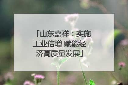 山东嘉祥：实施工业倍增 赋能经济高质量发展