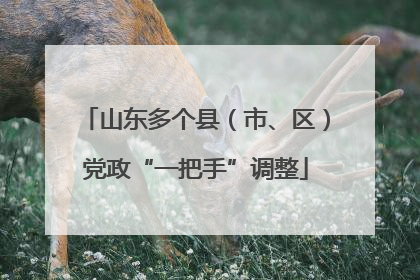 山东多个县（市、区）党政“一把手”调整