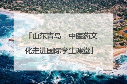 山东青岛：中医药文化走进国际学生课堂