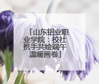 山东铝业职业学院：校社携手共绘端午温暖画卷