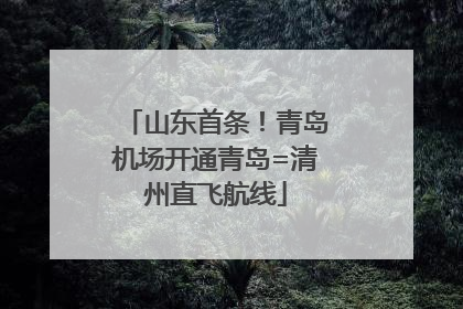 山东首条！青岛机场开通青岛=清州直飞航线