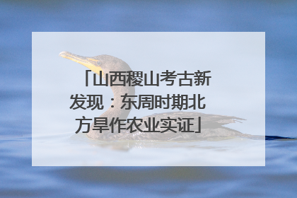山西稷山考古新发现：东周时期北方旱作农业实证