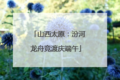山西太原：汾河龙舟竞渡庆端午