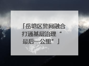 岳塘区警网融合 打通基层治理“最后一公里”