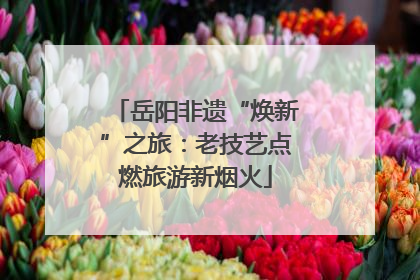 岳阳非遗“焕新”之旅：老技艺点燃旅游新烟火