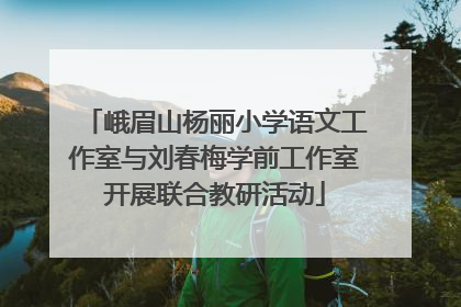 峨眉山杨丽小学语文工作室与刘春梅学前工作室开展联合教研活动