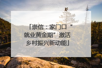 崇信：家门口“就业黄金期”激活乡村振兴新动能