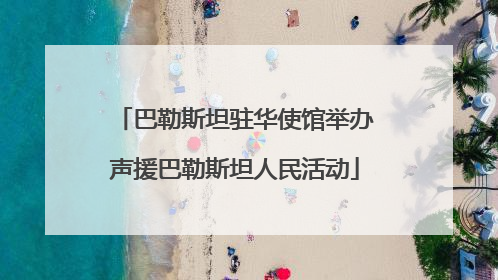 巴勒斯坦驻华使馆举办声援巴勒斯坦人民活动