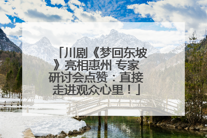 川剧《梦回东坡》亮相惠州 专家研讨会点赞：直接走进观众心里！