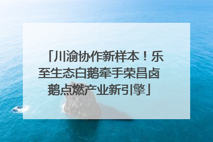 川渝协作新样本！乐至生态白鹅牵手荣昌卤鹅点燃产业新引擎