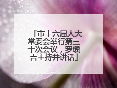 市十六届人大常委会举行第三十次会议，罗缵吉主持并讲话