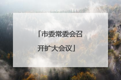 市委常委会召开扩大会议