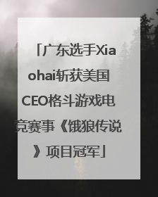 广东选手Xiaohai斩获美国CEO格斗游戏电竞赛事《饿狼传说》项目冠军