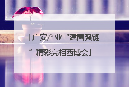 广安产业“建圈强链”精彩亮相西博会