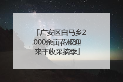 广安区白马乡2000余亩花椒迎来丰收采摘季