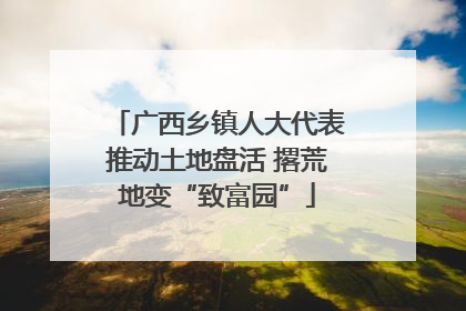 广西乡镇人大代表推动土地盘活 撂荒地变“致富园”