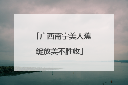 广西南宁美人蕉绽放美不胜收
