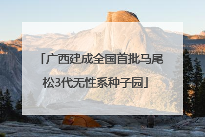 广西建成全国首批马尾松3代无性系种子园