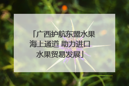 广西护航东盟水果海上通道 助力进口水果贸易发展