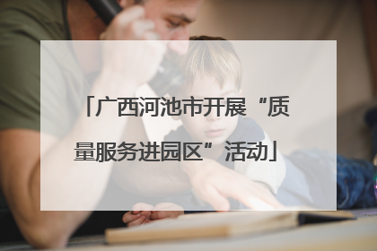 广西河池市开展“质量服务进园区”活动