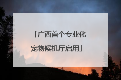 广西首个专业化宠物候机厅启用
