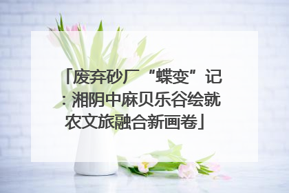 废弃砂厂“蝶变”记：湘阴中麻贝乐谷绘就农文旅融合新画卷