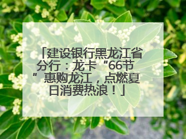 建设银行黑龙江省分行：龙卡“66节”惠购龙江，点燃夏日消费热浪！