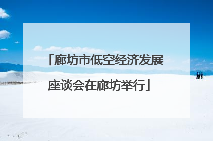 廊坊市低空经济发展座谈会在廊坊举行