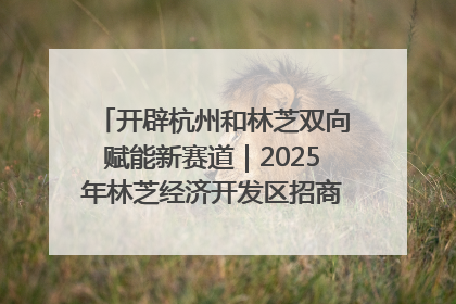 开辟杭州和林芝双向赋能新赛道｜2025年林芝经济开发区招商引资（杭州）推介展销活动在杭举办