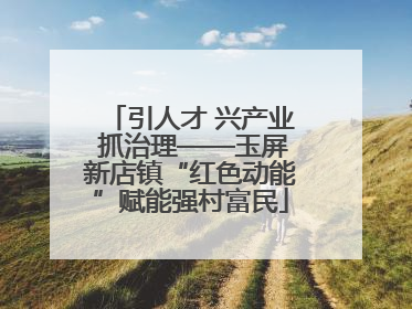 引人才 兴产业 抓治理——玉屏新店镇“红色动能”赋能强村富民