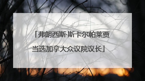 弗朗西斯·斯卡尔帕莱贾当选加拿大众议院议长