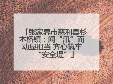 张家界市慈利县杉木桥镇：闻“汛”而动显担当 齐心筑牢“安全堤”