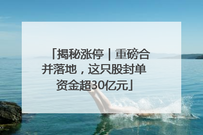 揭秘涨停｜重磅合并落地，这只股封单资金超30亿元