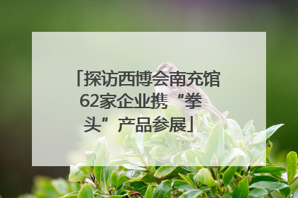探访西博会南充馆 62家企业携“拳头”产品参展