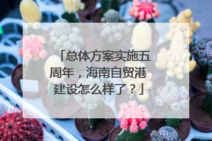 总体方案实施五周年，海南自贸港建设怎么样了？