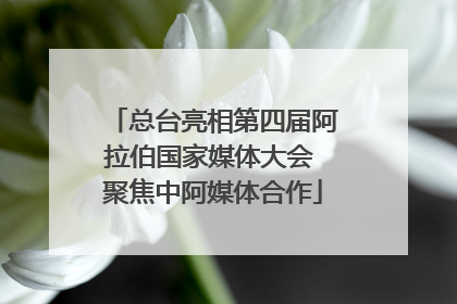 总台亮相第四届阿拉伯国家媒体大会 聚焦中阿媒体合作
