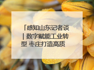 感知山东记者谈｜数字赋能工业转型 枣庄打造高质量发展新引擎