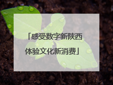 感受数字新陕西 体验文化新消费