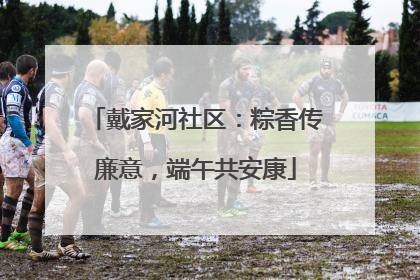 戴家河社区：粽香传廉意，端午共安康